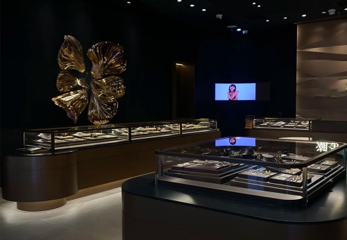 Jewelry cabinet luxury showcase for jewelry shop